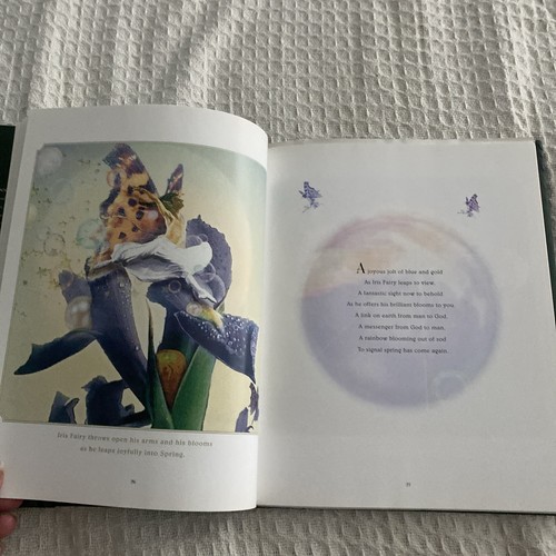 Fairy Garden: A Guide to the Fairies of the Flowers - Hardcover - GUT - Bild 14 von 24