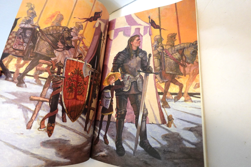 A Knight of the Seven Kingdoms (George R. R. Martin) illustrated paperback book - Picture 8 of 9