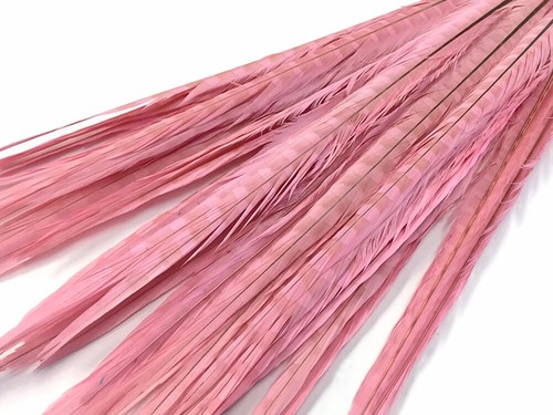50 Feathers 18-22" Light Pink Long Ringneck Pheasant Tail Wholesale Halloween - Picture 1 of 4
