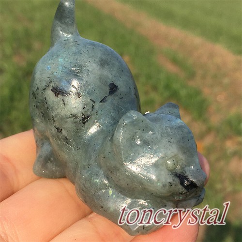 2" Natural Labradorite Cat Skull Carved Quartz Crystal Skull Reiki Healing - Picture 12 of 13