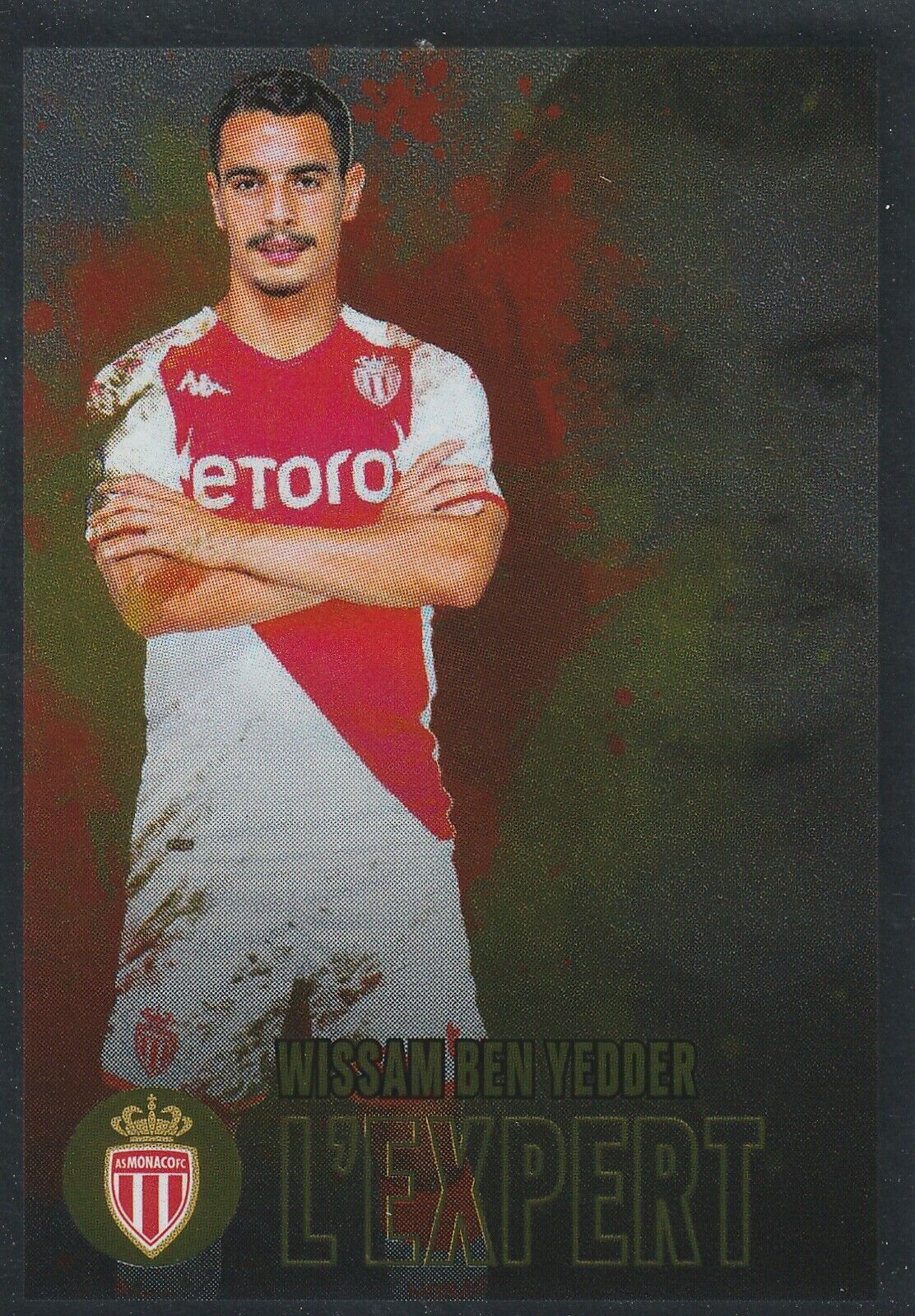 Autocollant Plaque D'immatriculation Voiture MC AS Monaco FC