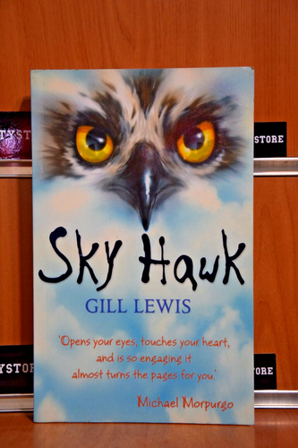 SKY HAWK Gill Lewis 1st Ed.2011 OXFORD University Press - Bild 1 von 12
