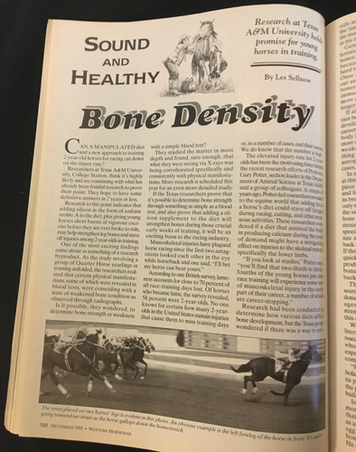 Western Horseman Magazine Dec. 1995 Vol. 60 No. 12 - Picture 11 of 12