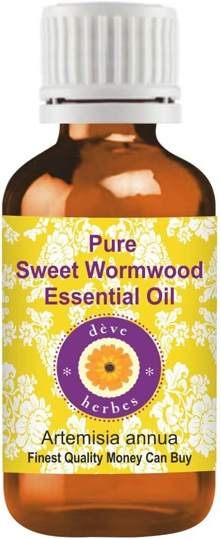 Pure Sweet Wormwood Essential Oil (Artemisia annua) 100% Natural Therapeutic Gunstige lage prijs