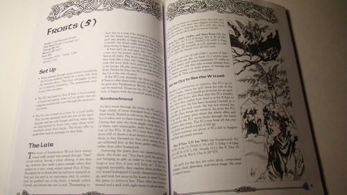 MODULE - BOOK OF LAIRS *NEU VF/NM 9.0 NEU* DUNGEONS DRAGONS FORGET REALMS - Bild 6 von 7