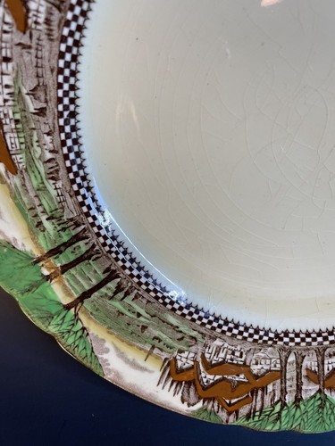 Myott England Countryside 10” Dinner Plate Set of 2 -Crazing - Picture 16 of 21
