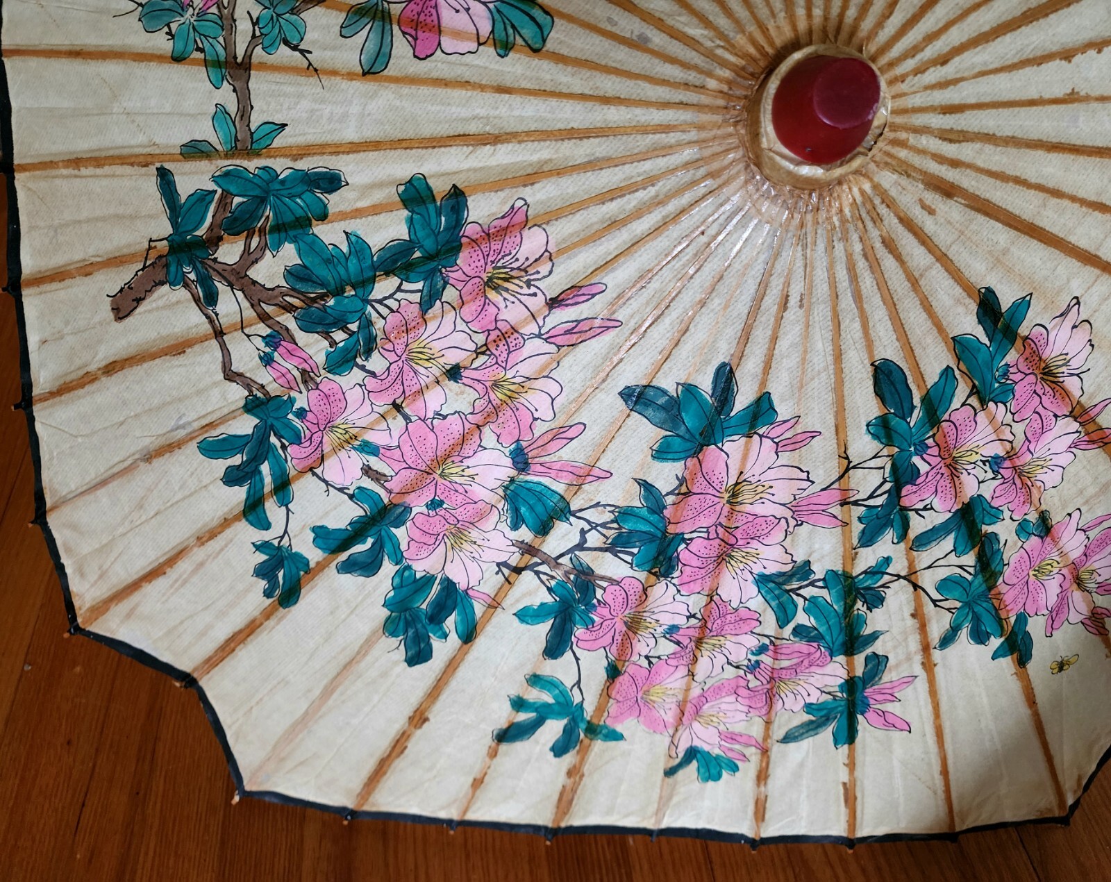 Picture 11 of 24