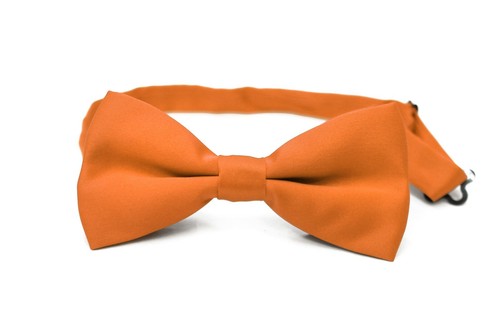 Corbata Dickie lisa con corbata con clip para hombre mujer - Imagen 6 de 17