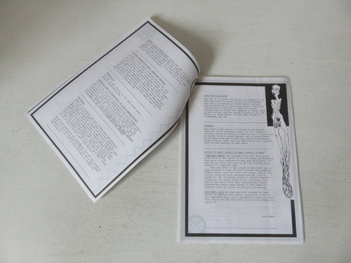 PSYCHIC TV / THE TEMPLE OV PSYCHICK YOUTH ORIGINAL TEMPLE NEWS BULLETIN '88 - Imagen 4 de 11