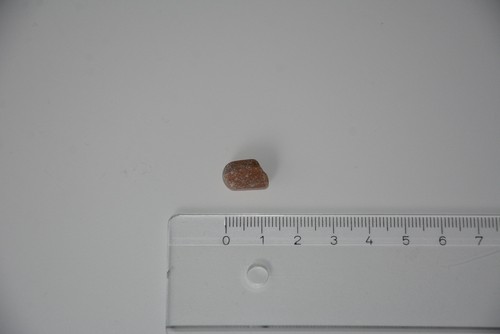 Donnerkeil Stück von Hiddensee - Belemniten Rostrum Coleoidea Kopffüßer - Bild 3 von 6