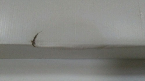 Central Machinery faltbare Werkbank/Schraubstock Artikel # 47844 Winkelmesser Waage Neu mit Etikett - Bild 7 von 12