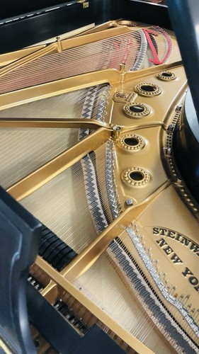 FULLY REBUILT BEAUTIFUL STEINWAY AND SONS MODEL B PIANO - Picture 6 of 9
