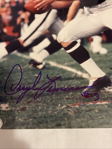 Daryle Lamonica Signed Autographed 8x10 Color Photo JSA COA Oakland Raiders - Picture 10 of 10