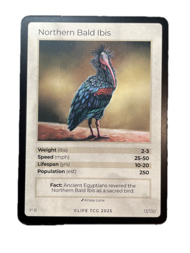 LIFE TCG Vögel - Wählen Sie Ihre Karte! Holos (25-50) Full Arts (55-65) Rares (3-25) - Bild 31 von 43