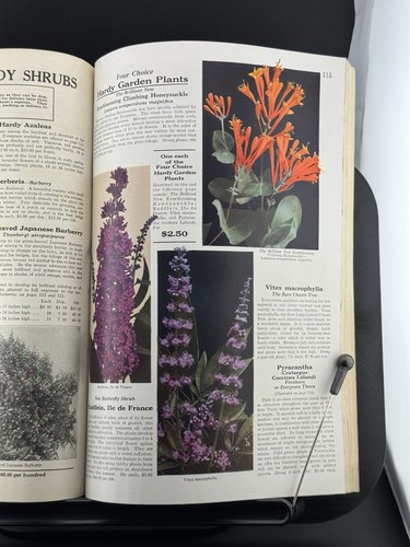 Vtg Dreer's Garden Book 1934 Plant and Seed Catalog Philadelphia PA - Picture 3 of 7