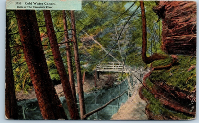 #ad Vintage Postcard Cold Water Canon Wisconsin River Dells Scenic Bridge View $19.99