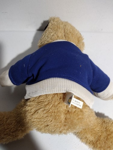 NY Giants Teddybär Plüschtier NFL Stofftier 2010 Good Stuff 12 Zoll - Bild 2 von 3