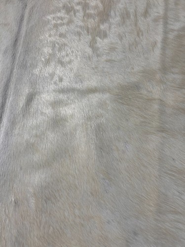 Tappeto in pelle di mucca bianca - Tappeto in pelle di vacchetta avorio naturale dimensioni: 7,5 x 7 piedi D-674 - Foto 8 di 8