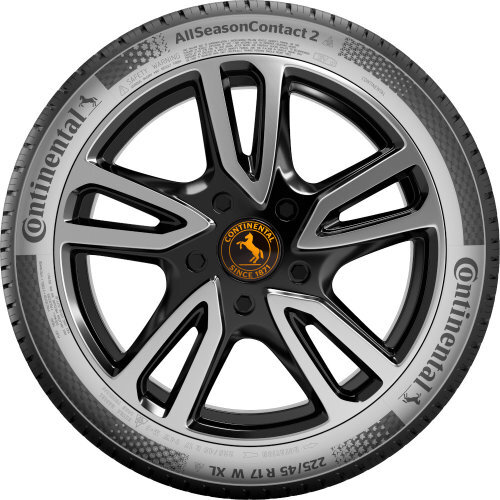 195/65 R15 95V XL EVc Continental AllSeasonContact 2 - Imagen 4 de 4
