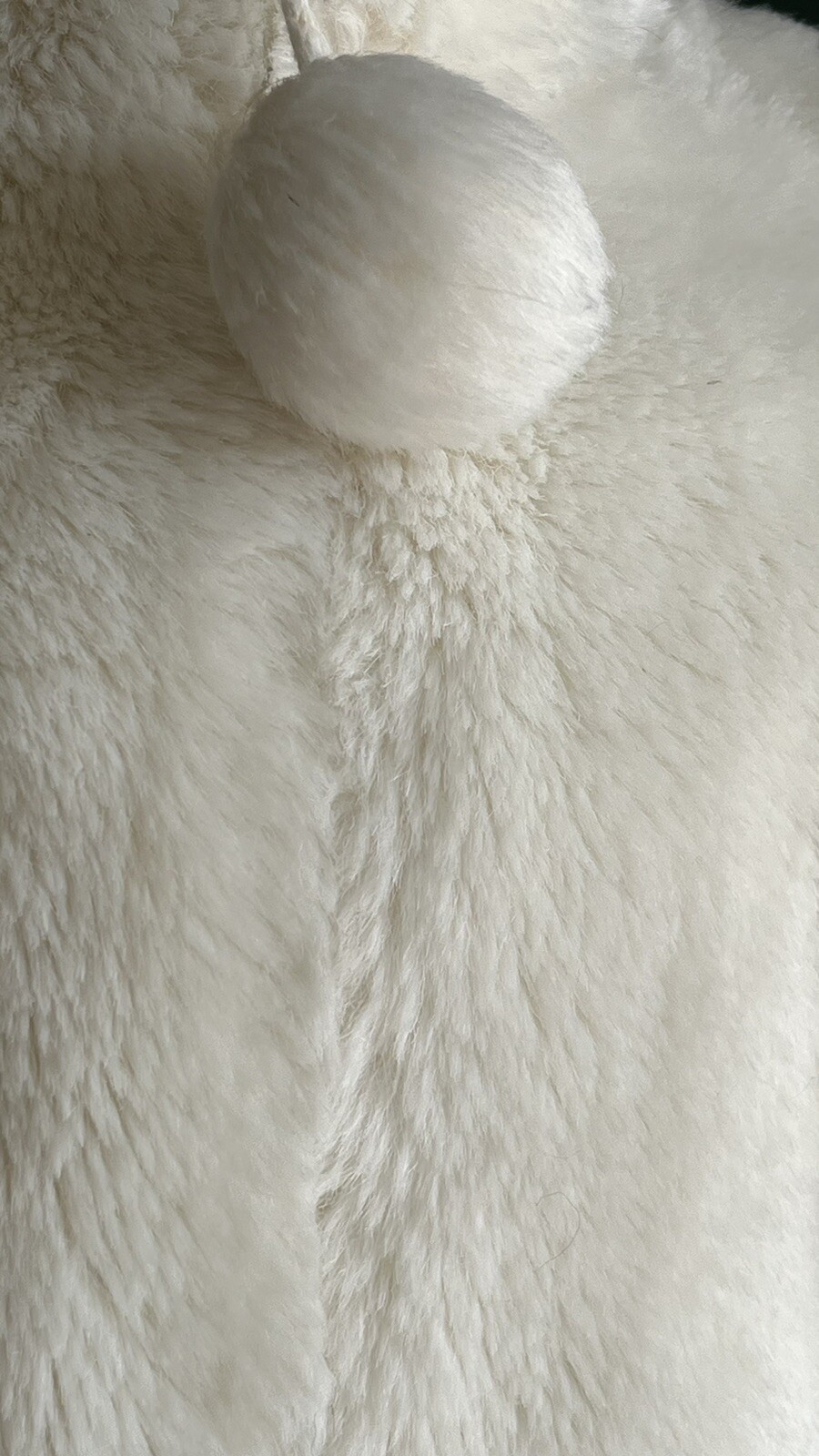 Picture 6 of 10