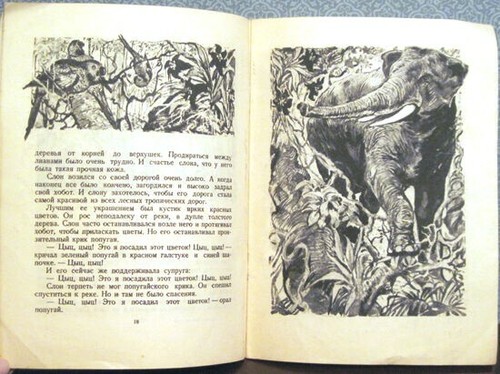 1947 N. Pavlova SELAGINELLA - CHILD OF THE DESERT СЕЛИНГЕЛЛА - ДИТЯ...in Russian - Picture 5 of 9