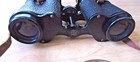 Picture 6 of 12