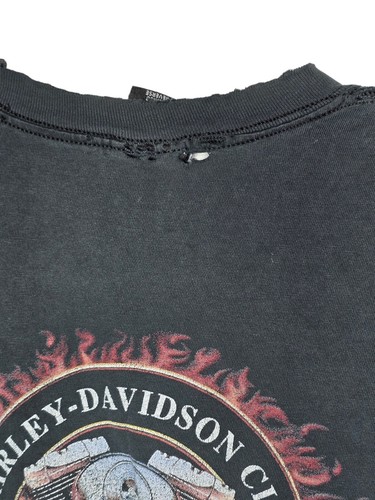 Camiseta Harley Davidson 2003 Fury Tokyo Japón - Imagen 9 de 11