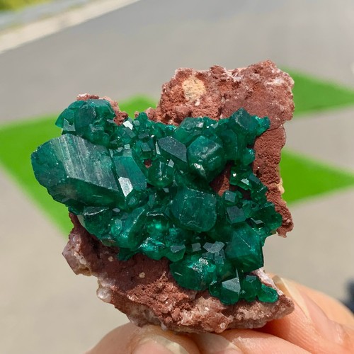 46G Natürlicher Grüner Dioptase Smarandin Edelstein Cluster Mineral Präparat - Bild 2 von 23