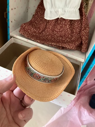 Madame Alexander Anne von Green Gables geht zur Schule Koffer Set 14 Zoll Puppe NRFB WOW - Bild 16 von 24