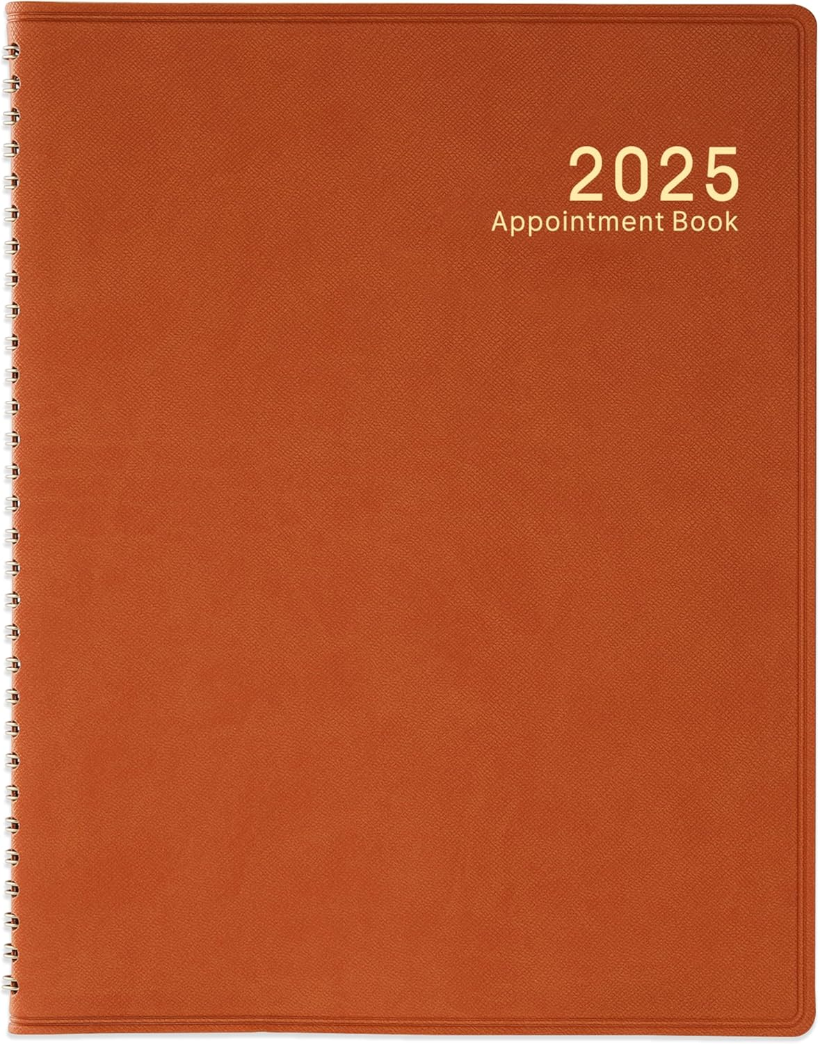 2025 Weekly Appointment Book/Planner - JANUARY - DECEMBER 2025, 53 Weeks Daily H