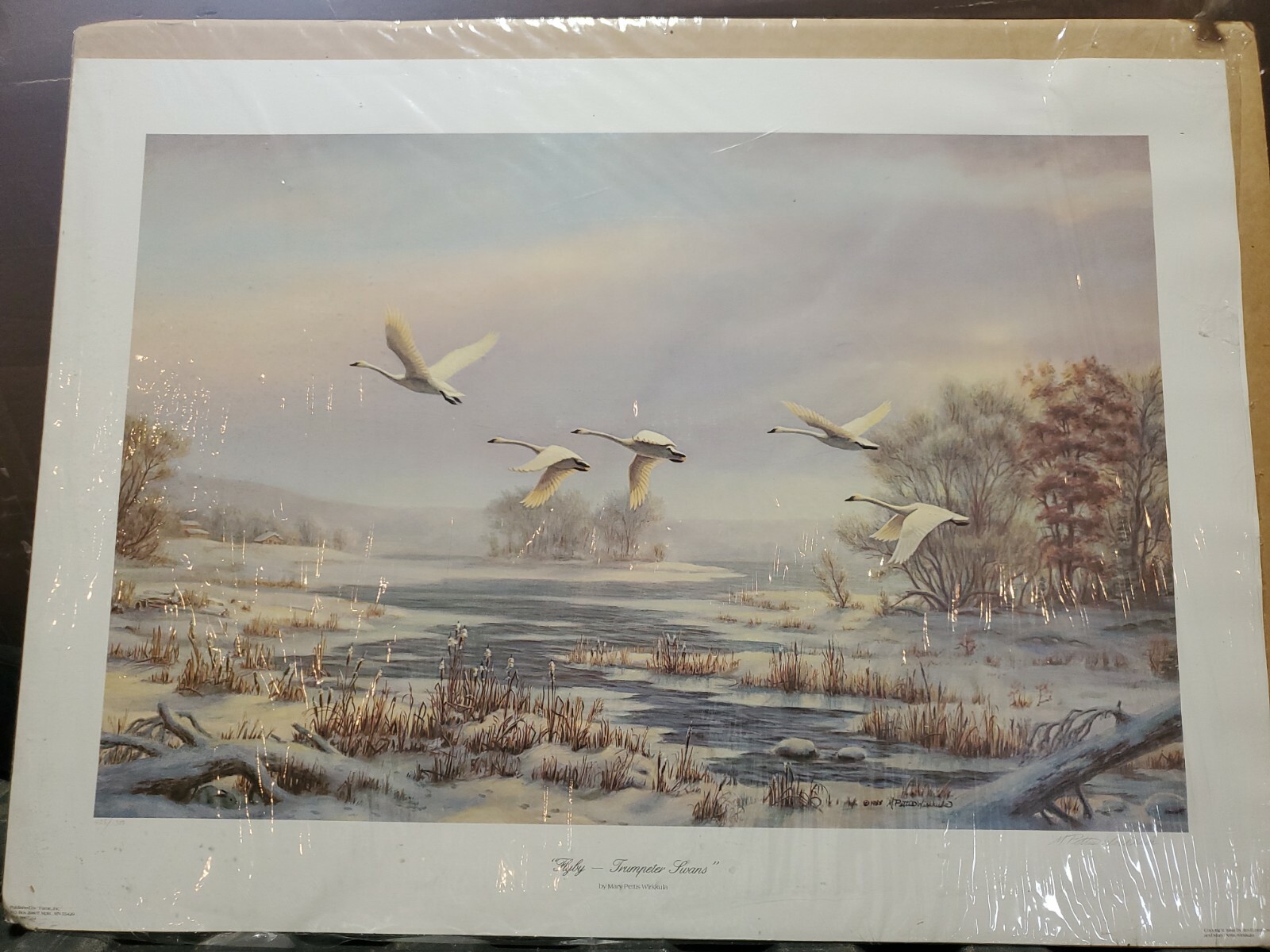Picture 2 of 7