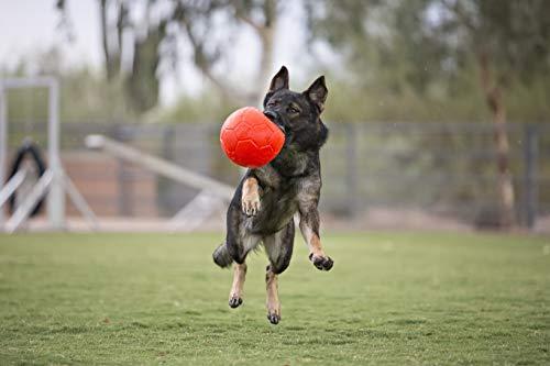 Jolly Pets Large Soccer Ball Floating-Bouncing Dog Toy, 8 inch Diameter, Orange - Bild 4 von 8