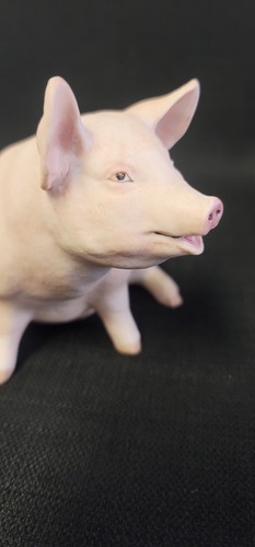 Aynsley Porcelain Figurine “PIGGY” by John Aynsley 1975 - Picture 4 of 9