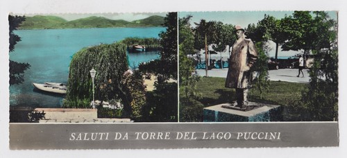 TO LU 11 Saluti da Torre del Lago Puccini 8,5X21 viaggiata 1959