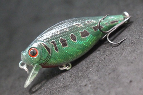 Esche da pesca esca con acqua bassa 2 1/2 pollici per pesca bassi C547 - Foto 54 di 118