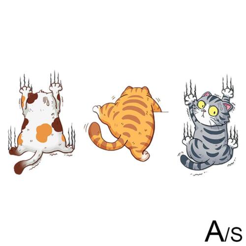Niedliche Katze selbstklebender Vinyl-Aufkleber Sticker lustig Haustier Auto LKW Fenster SCHNELL - Bild 8 von 13