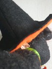 Bild 9 von 11