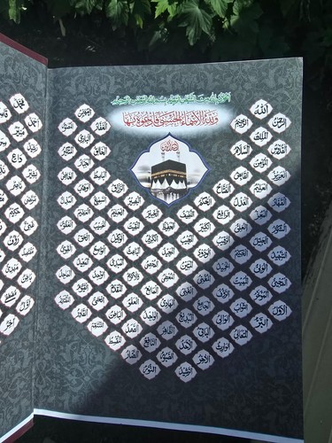 El Corán Majeed Punjabi Traducción Libro Sagrado Musulmán Corán Shareef Islam Mi - Imagen 2 de 11