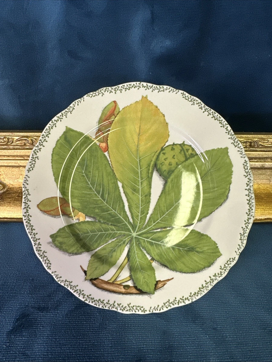 Taitù products for sale | eBay