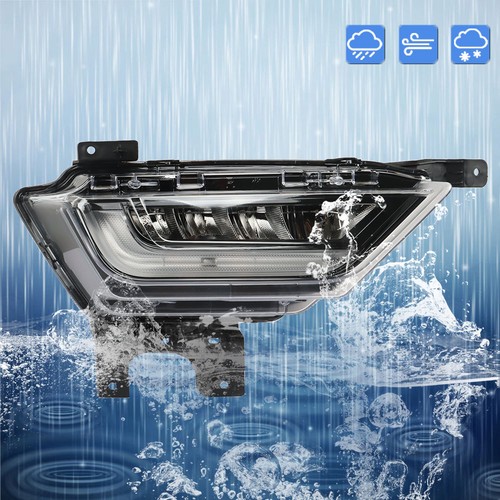 Fit For 2021-2022 Ford F150 Passenger Right Side  Bumper LED Fog Lights Assembly - Picture 11 of 12