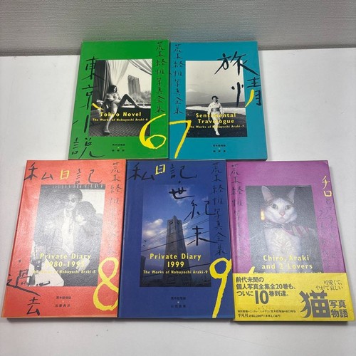 Nobuyoshi Araki Photo Collection Complete 20-volume set good condition book JP - Bild 5 von 7