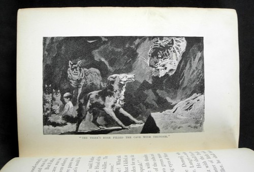 The Jungle Book - Rudyard Kipling - 1894 - Imagen 9 de 10