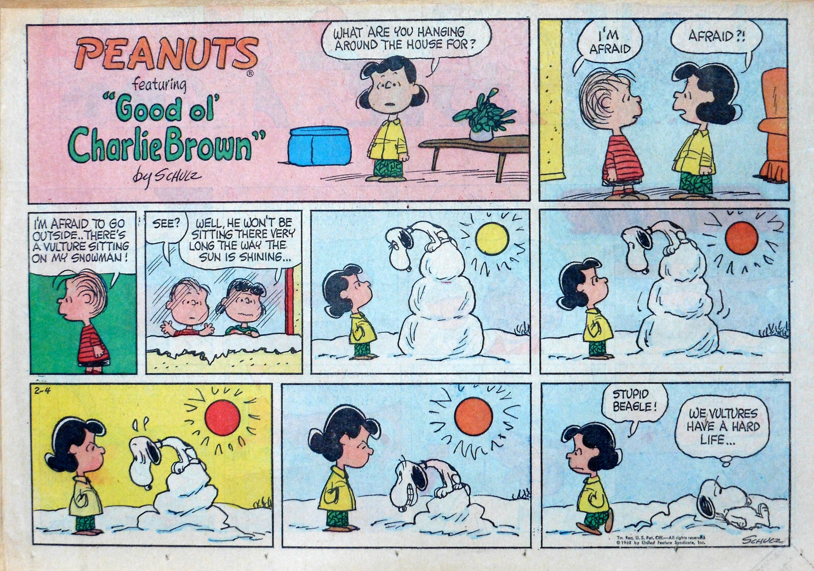 Peanuts by Schulz Snoopy Vulture halfpage color Sunday comic Feb