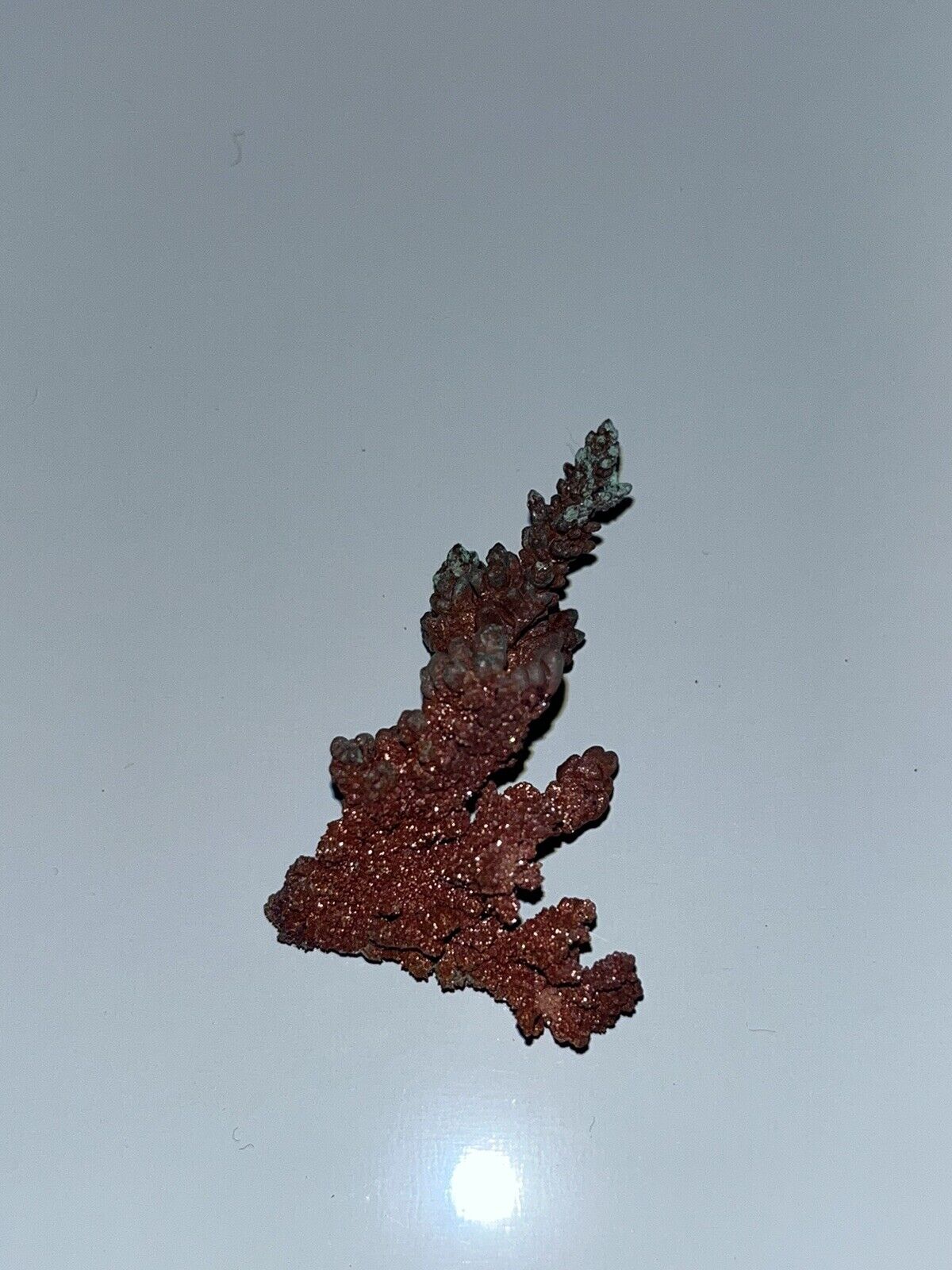 Picture 2 of 22