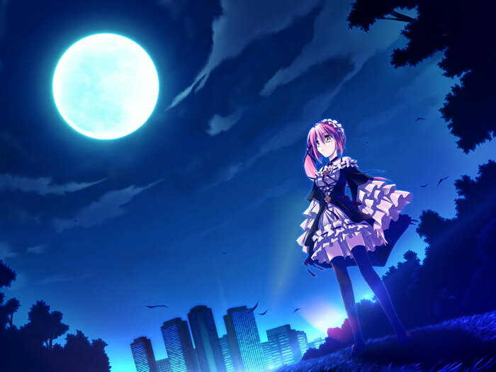 Pretty Girl Night Moon City Skyline Anime Art Wall Print POSTER US Pretty Girl Night Moon City Skyline Anime Art Wall Print POSTER US