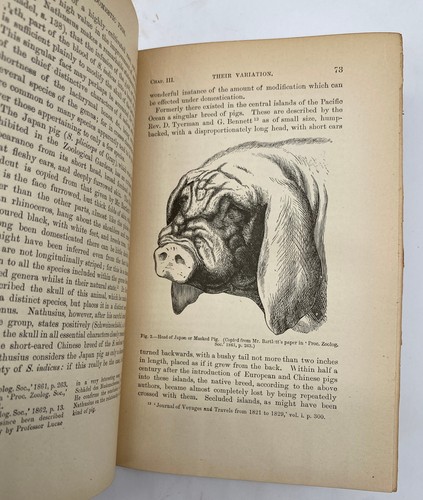1896 Charles Darwin Variation Animals Plants Under Domestication Authorized Ed. - Imagen 7 de 12