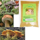 Pilze STEINPILZE Waldpilze 3Sorten Pilzpulver Würzpulver 100g Pilz 1A Geschmack!