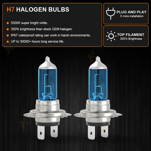2X H7 Halogen Headlight Hi/Lo Beam White 6000K Bulbs For Smart Fortwo 2008-2015 - Bild 2 von 10