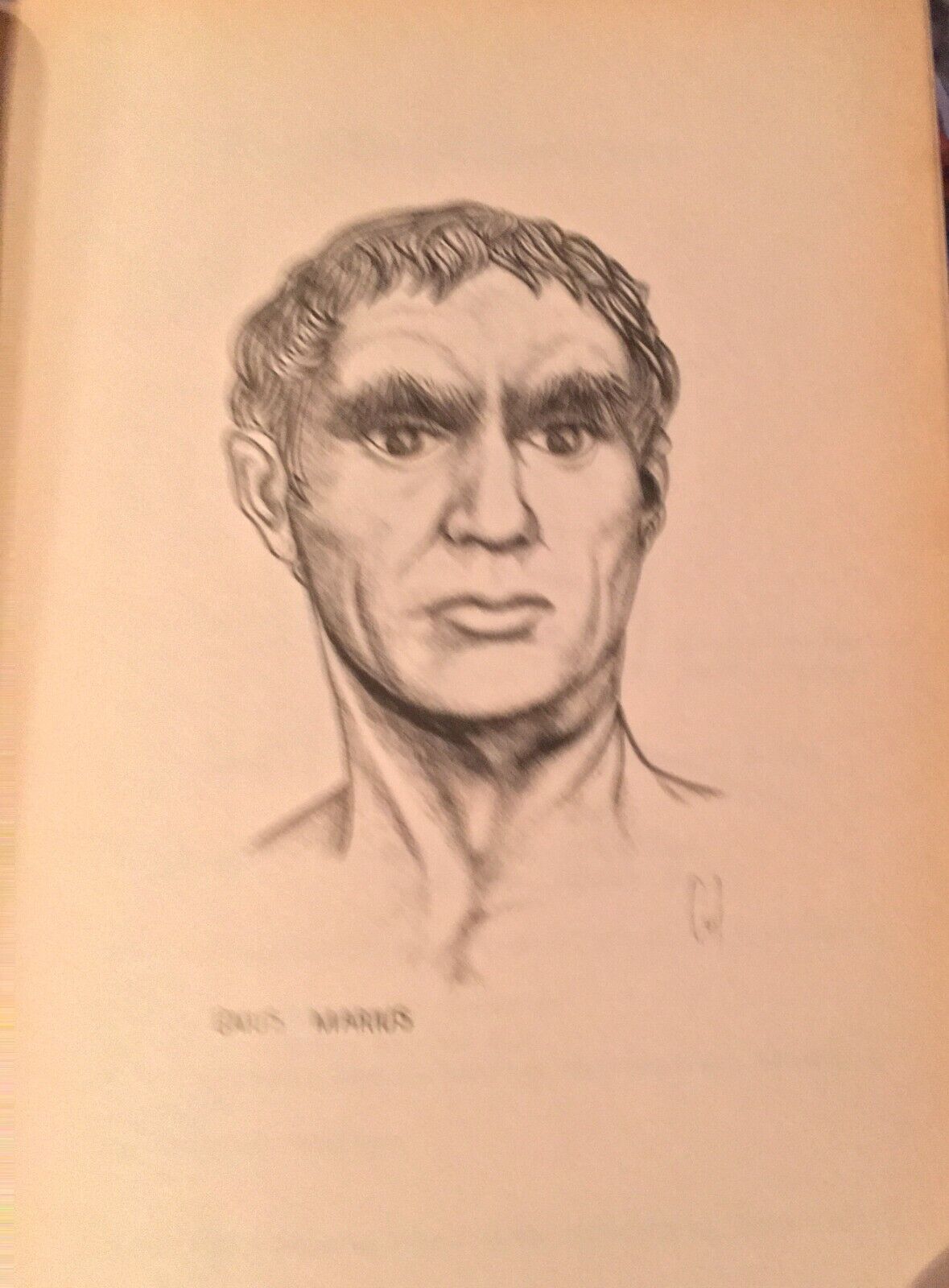 Picture 6 of 12