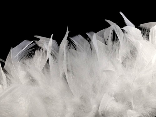 1 Yard – White Chandelle Turkey Fluffy Feather Trim Halloween Costume Craft - Picture 3 of 4